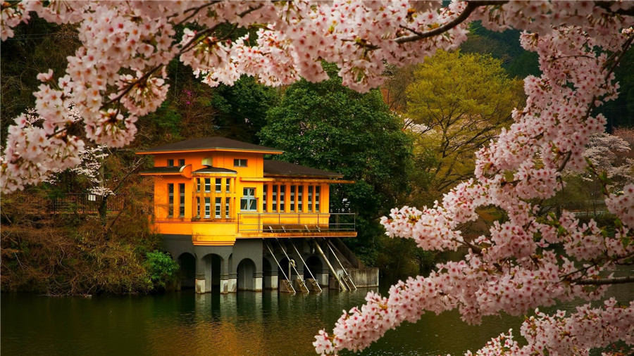 河濑川_河濑川_河濑川