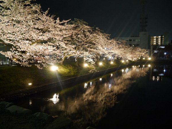 河濑川_河濑川_河濑川