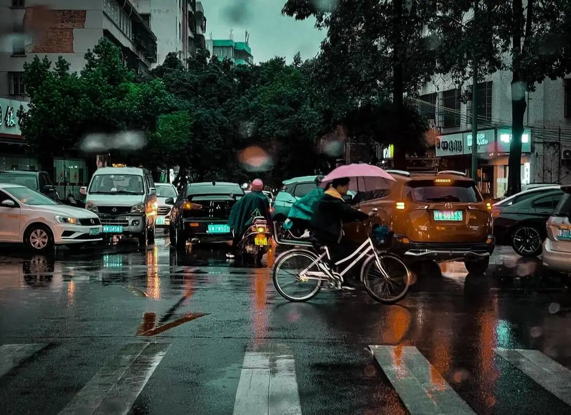 剃切蓟_剃切蓟_剃切蓟