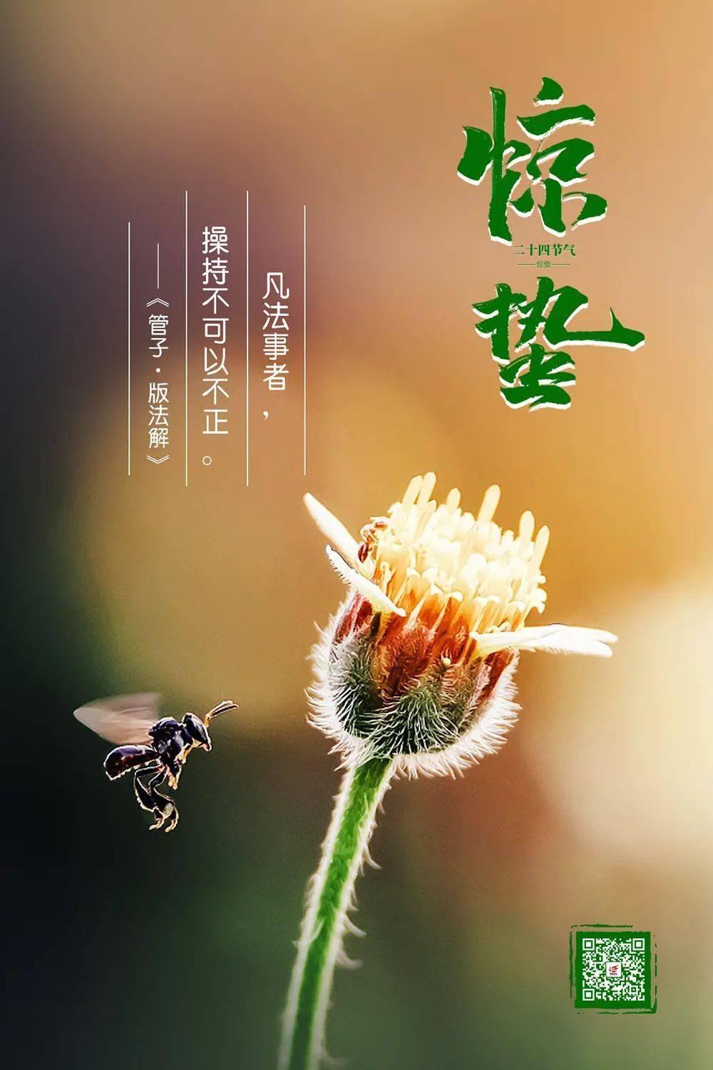 三月别称和雅称_三月别称美名是什么_三月的别称及美名