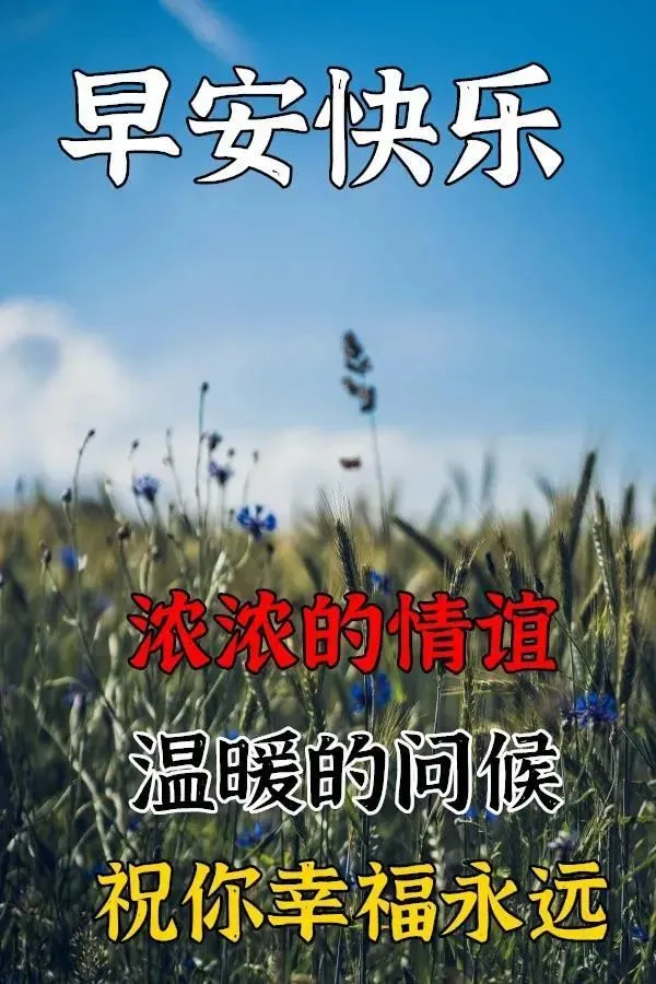 月日年还是日月年_外国日期怎么看日月年_2016年10月28日