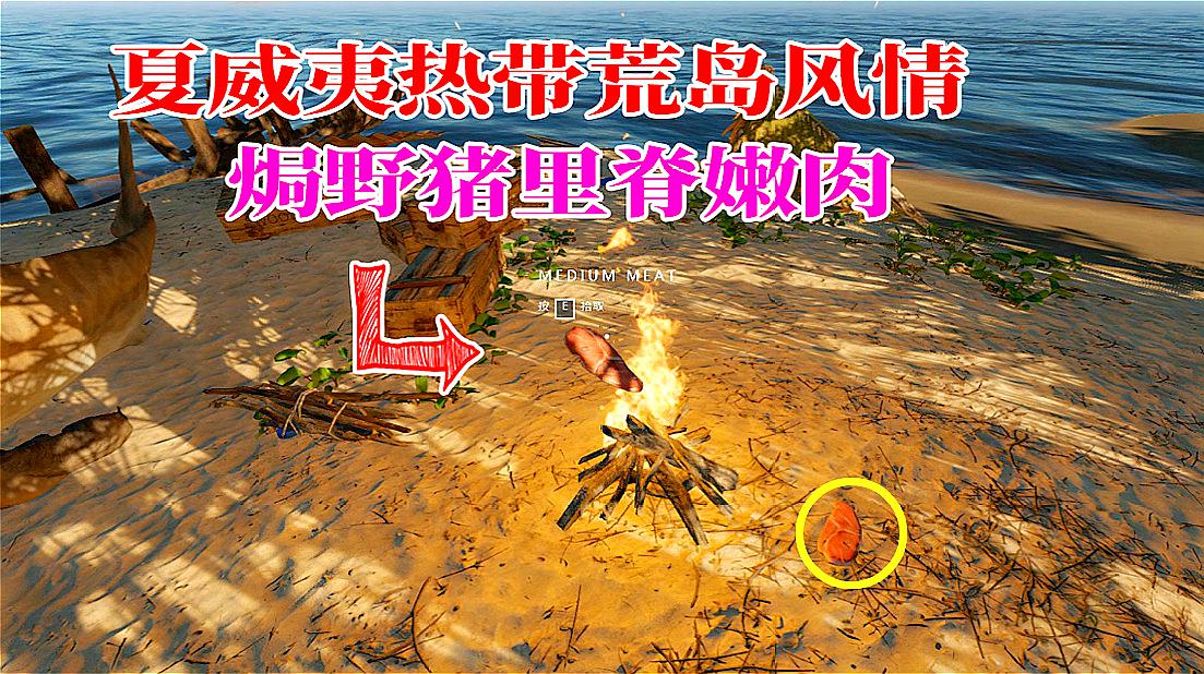 求生类游戏手机游戏ios-求生类手机游戏 iOS：荒岛生存的