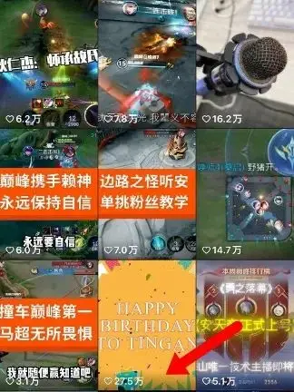 粉丝的游戏_千万粉丝的手机游戏叫什么_粉丝互动小游戏