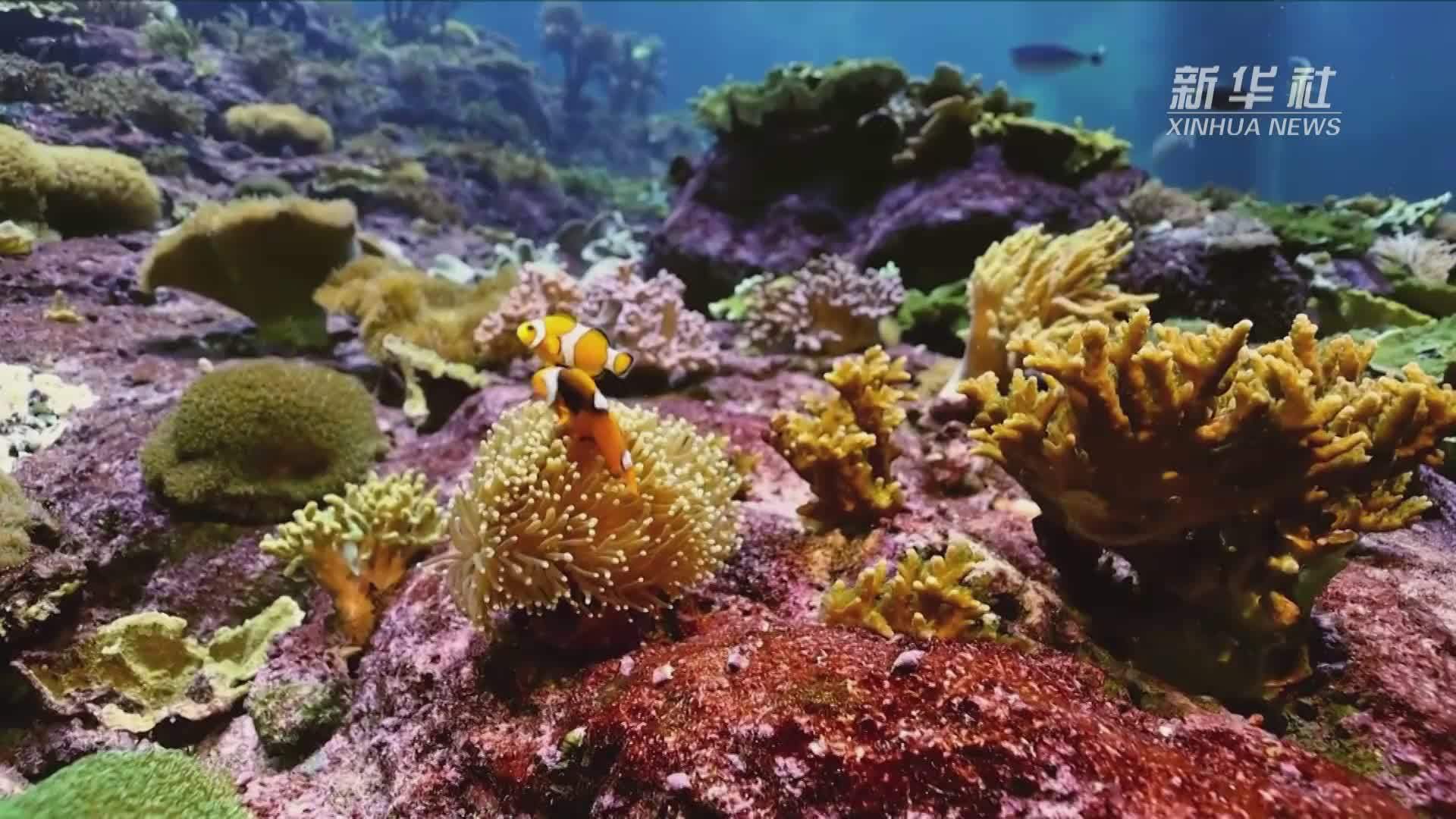 搜索海底探险_海底探索_手机版海底探索游戏下载