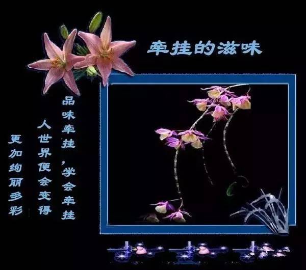 问花歌词_问花村歌曲原唱_问花