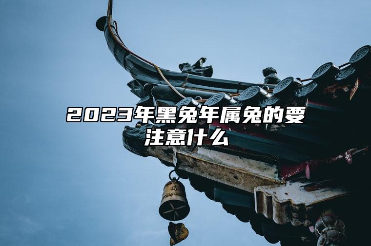 兔黑年是什么意思_2023年为什么是黑兔年_2023年黑兔年大灾难是什么