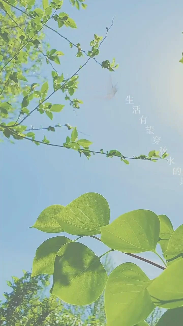 2012年3月9日_月年2023年_月日年还是日月年