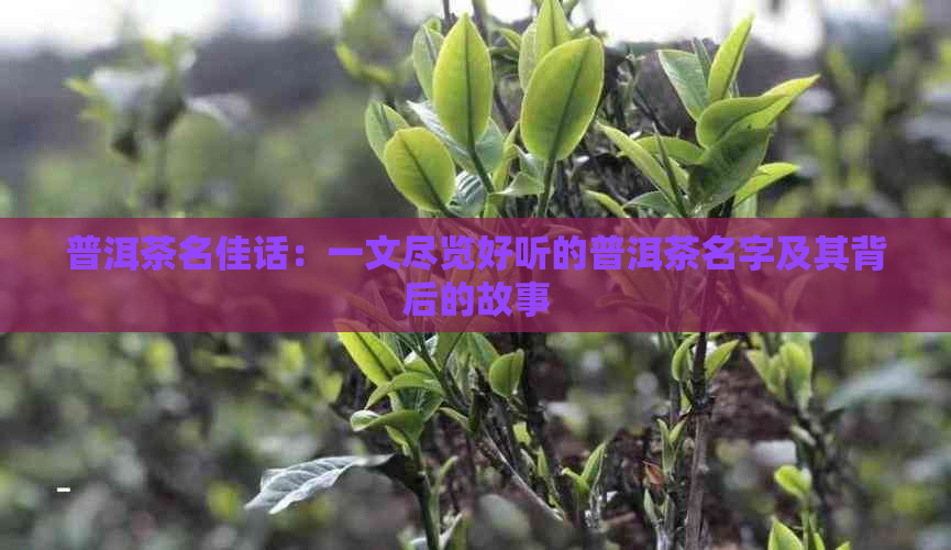 比例比卢i_比例比卢i_比例比卢i