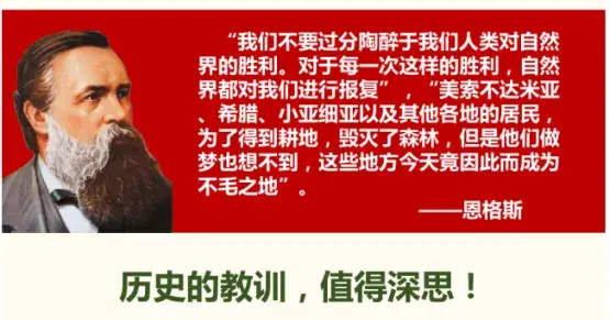 盘吸虫寄生蜗牛_双盘吸虫_胰阔盘吸虫