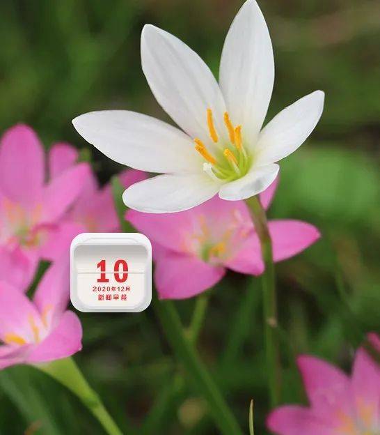 月日年还是日月年_2020年10月_月年2023年