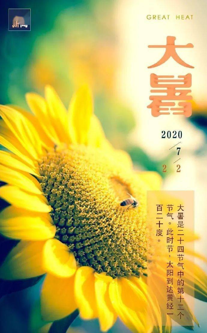 天气热的节气_一年中最热的节气是哪个_24个节气中哪个节气最热