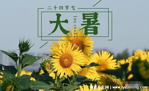 24个节气中哪个节气最热_一年中最热的节气是哪个_天气热的节气