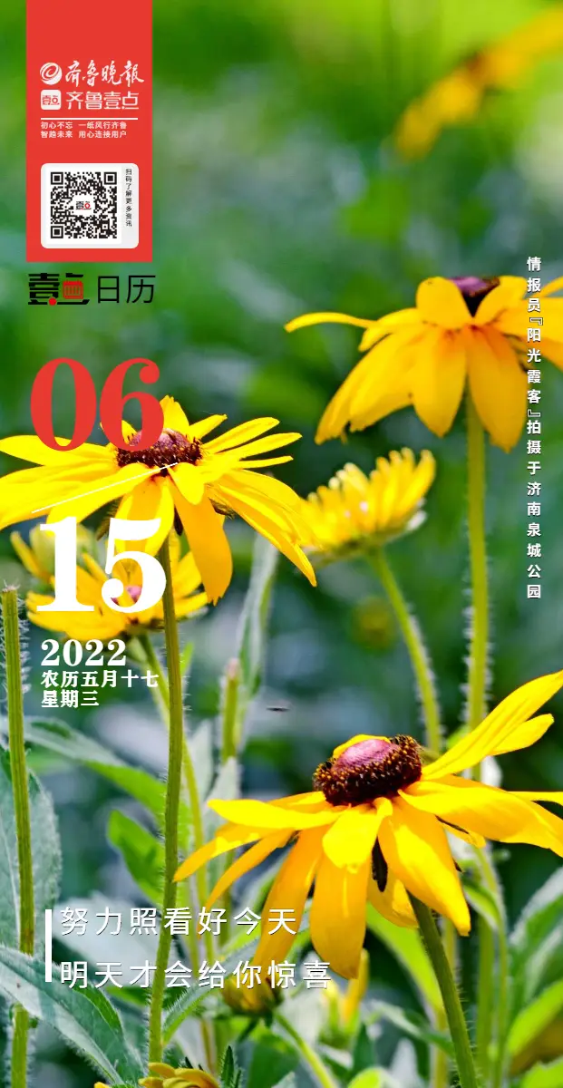 万年历查询日历：记录时光的秘密，承载生活的美好