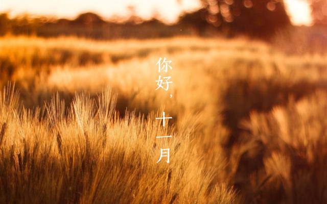 日子是啥_日和月是_11月14日是什么日子