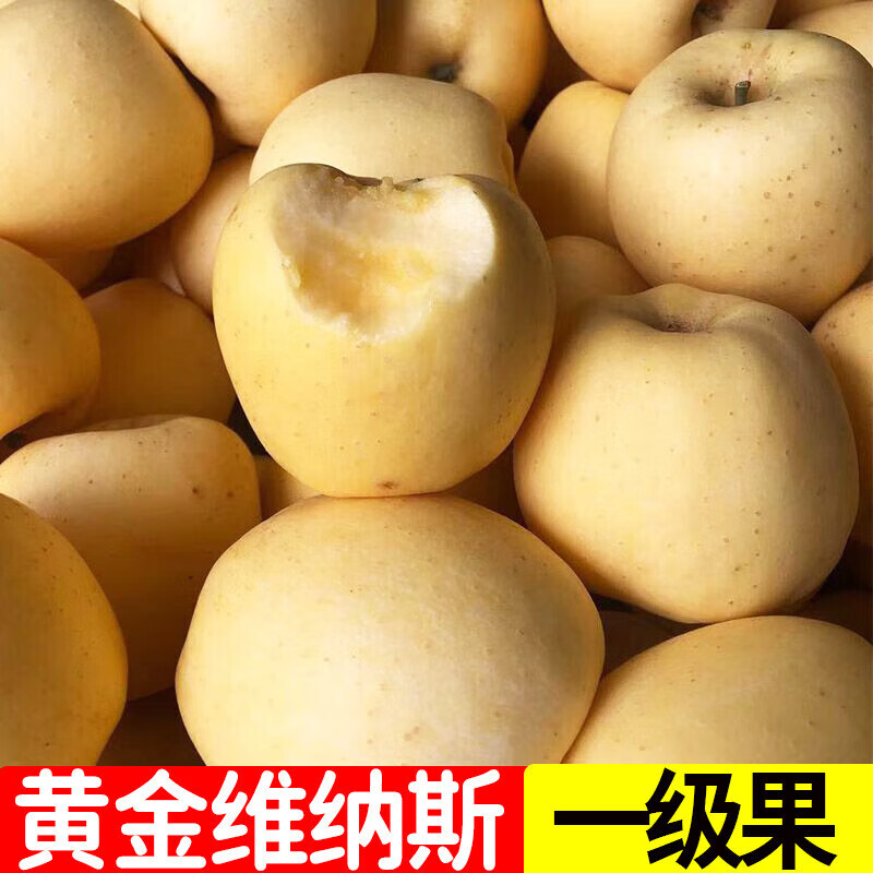 苹果手机怎么安装糖心游戏_苹果手机怎么下载糖心_糖心苹果商店版