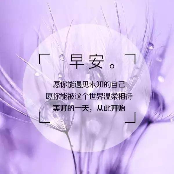 狐狸钱包有中文版吗_狐狸钱包是哪个国家的_狐狸钱包