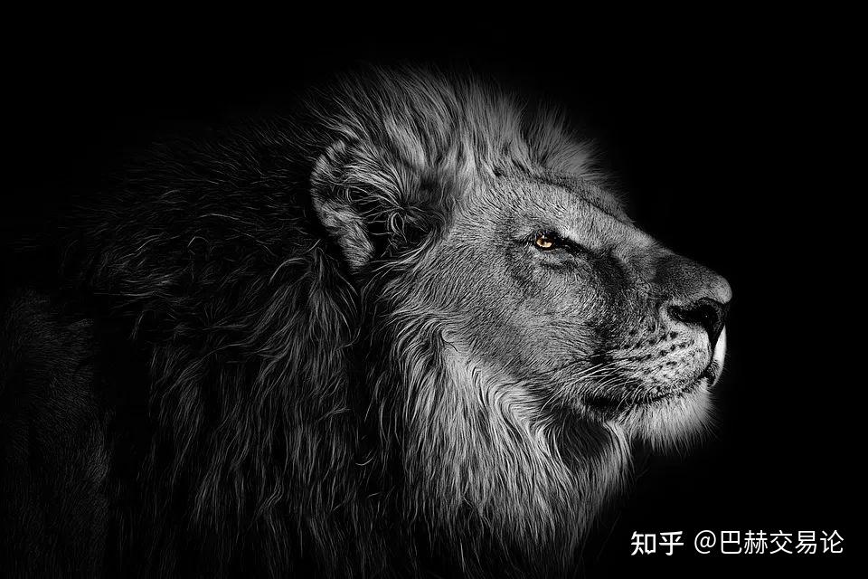 在黑星红白的世界中，寻找自我的定位与安慰